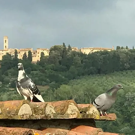 La Casa Di Nada *